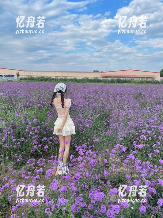 hlw 通过hlw首页,这个网址让你快速掌握最新吃瓜动态与精彩故事!