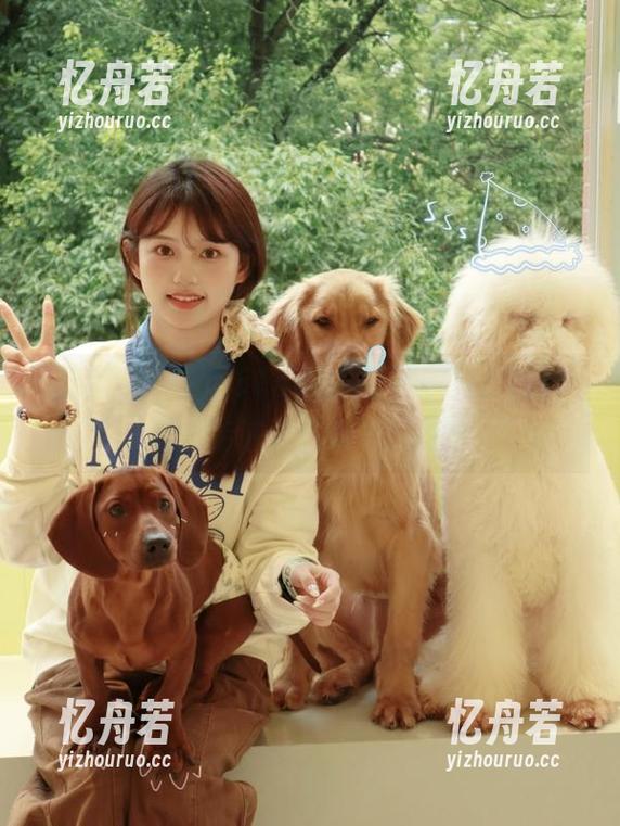 吃瓜51 吃瓜51cgwin网站每日更新,带你走进真实的娱乐世界