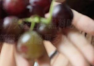 关注国产黑料吃瓜，官网网址更新带你领略更多内幕消息！