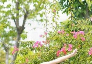 堪比热搜的我要吃瓜最新苹果版,追踪娱乐圈最新动态不再难!