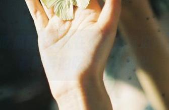 永久在《我要吃瓜网》寻找最新鲜的吃瓜八卦资讯