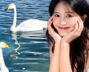 黑料网不打烊正能量,官网为你打造最佳吃瓜线路,永不停歇的乐趣!